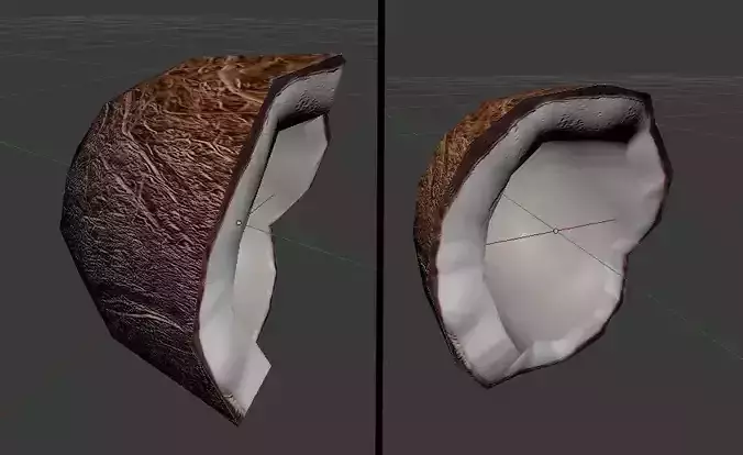 Coconut half with shell