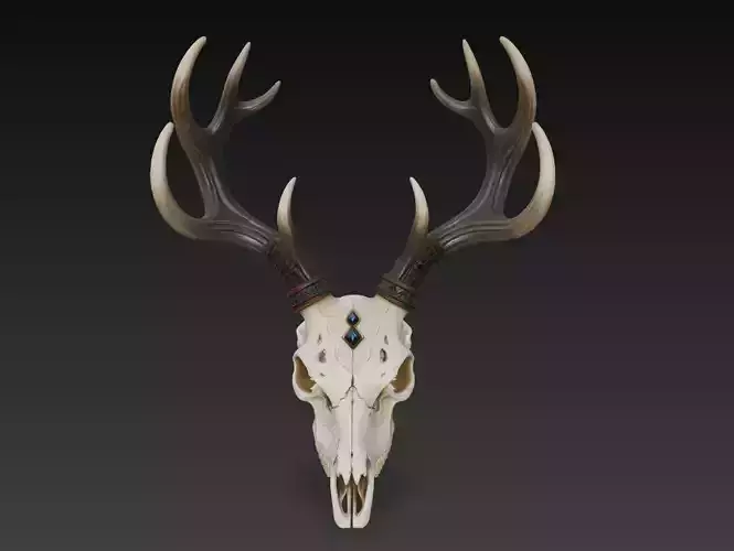 Runic Stag Skull - Fantasy Deer Horn Sculpture 3D Model