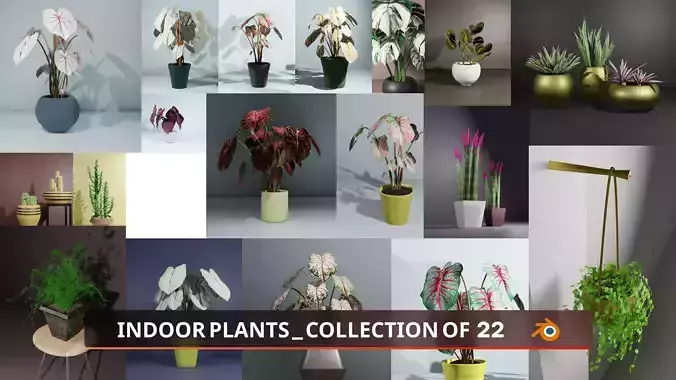 Indoor Plants Collection of 22 Potted Plant Models