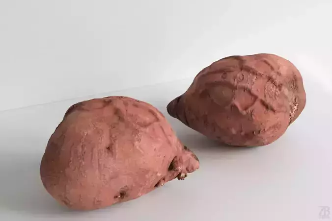 Potato