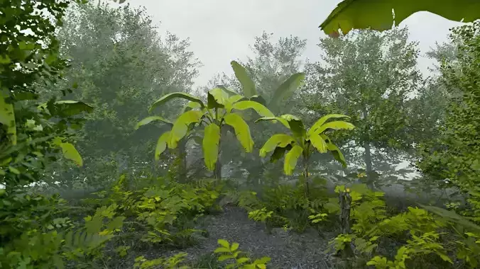 REALISTIC JUNGLE ENVIRONMENT