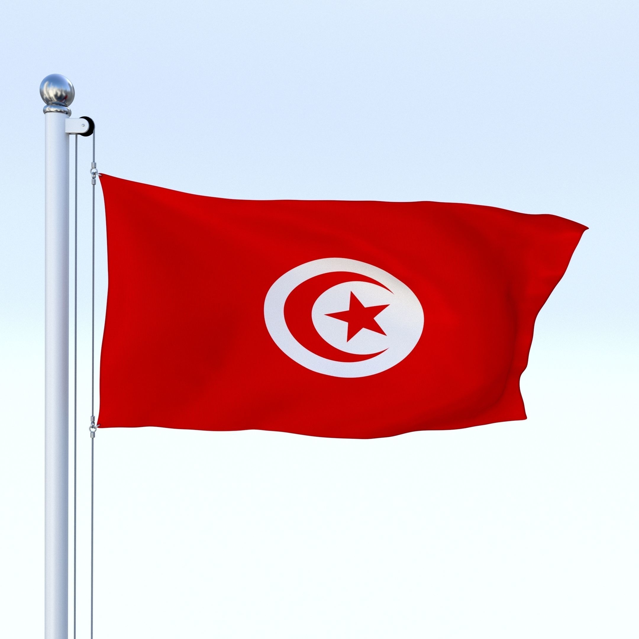 Animated Tunisia Flag Low-poly 3D model_16