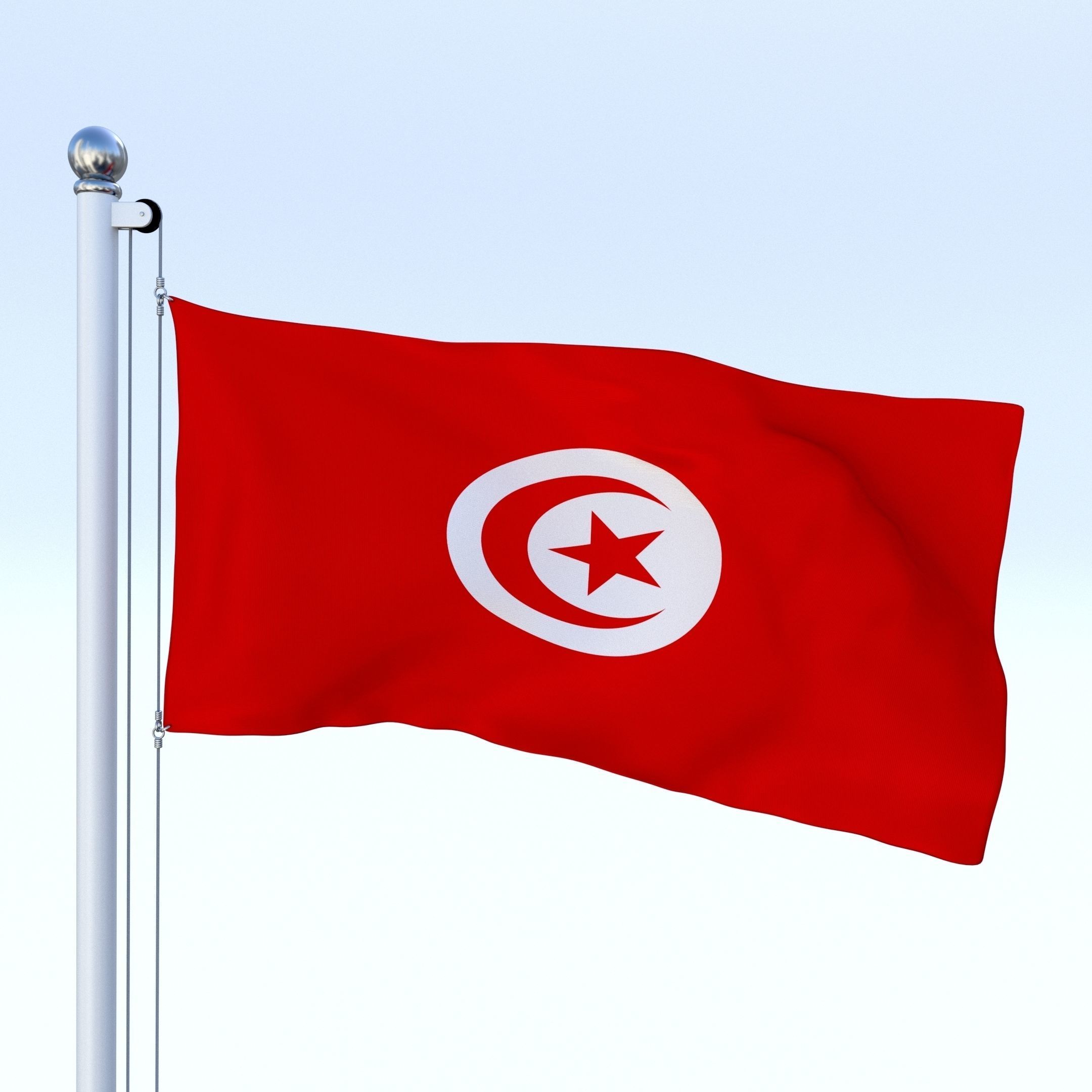 Animated Tunisia Flag Low-poly 3D model_6