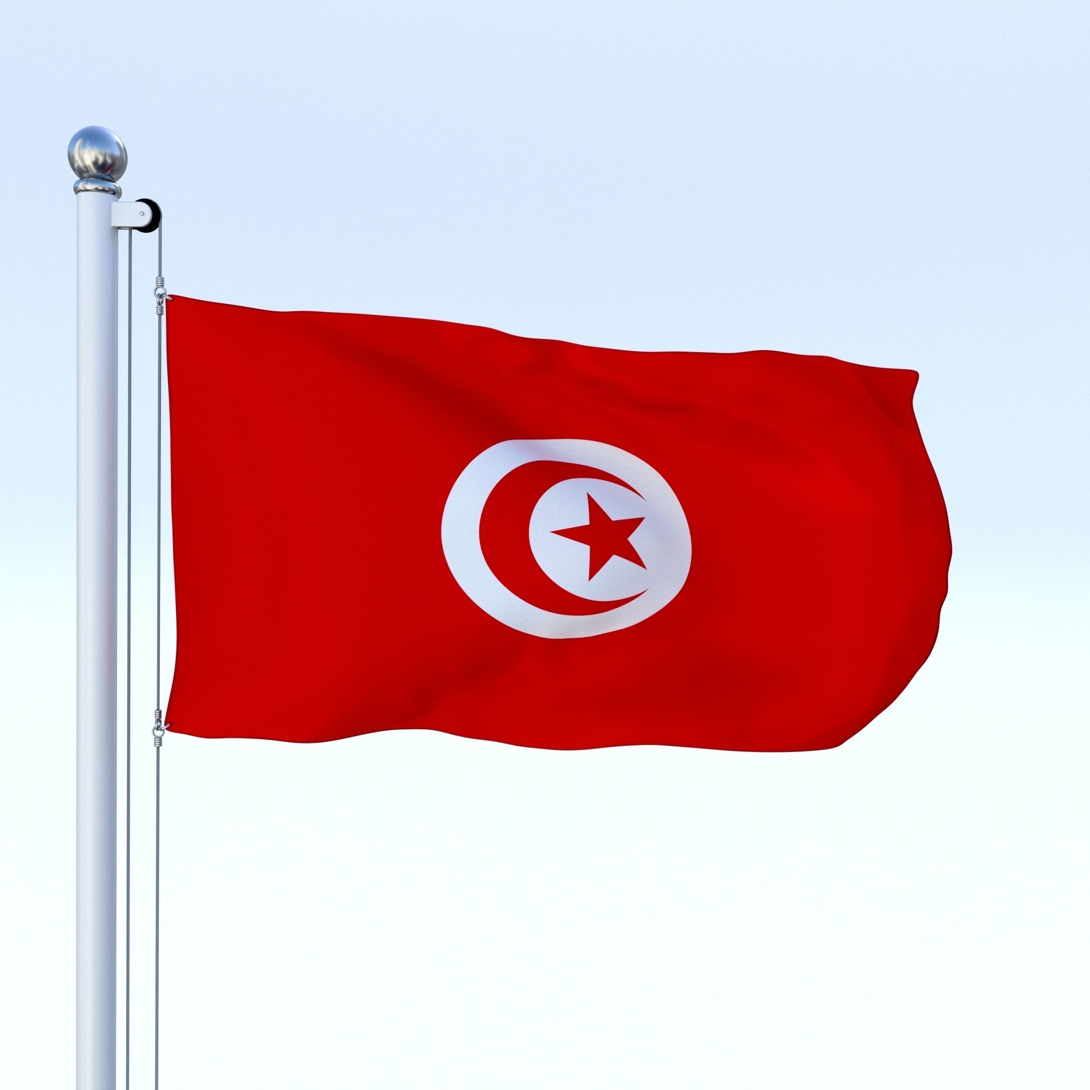 Animated Tunisia Flag Low-poly 3D model_14
