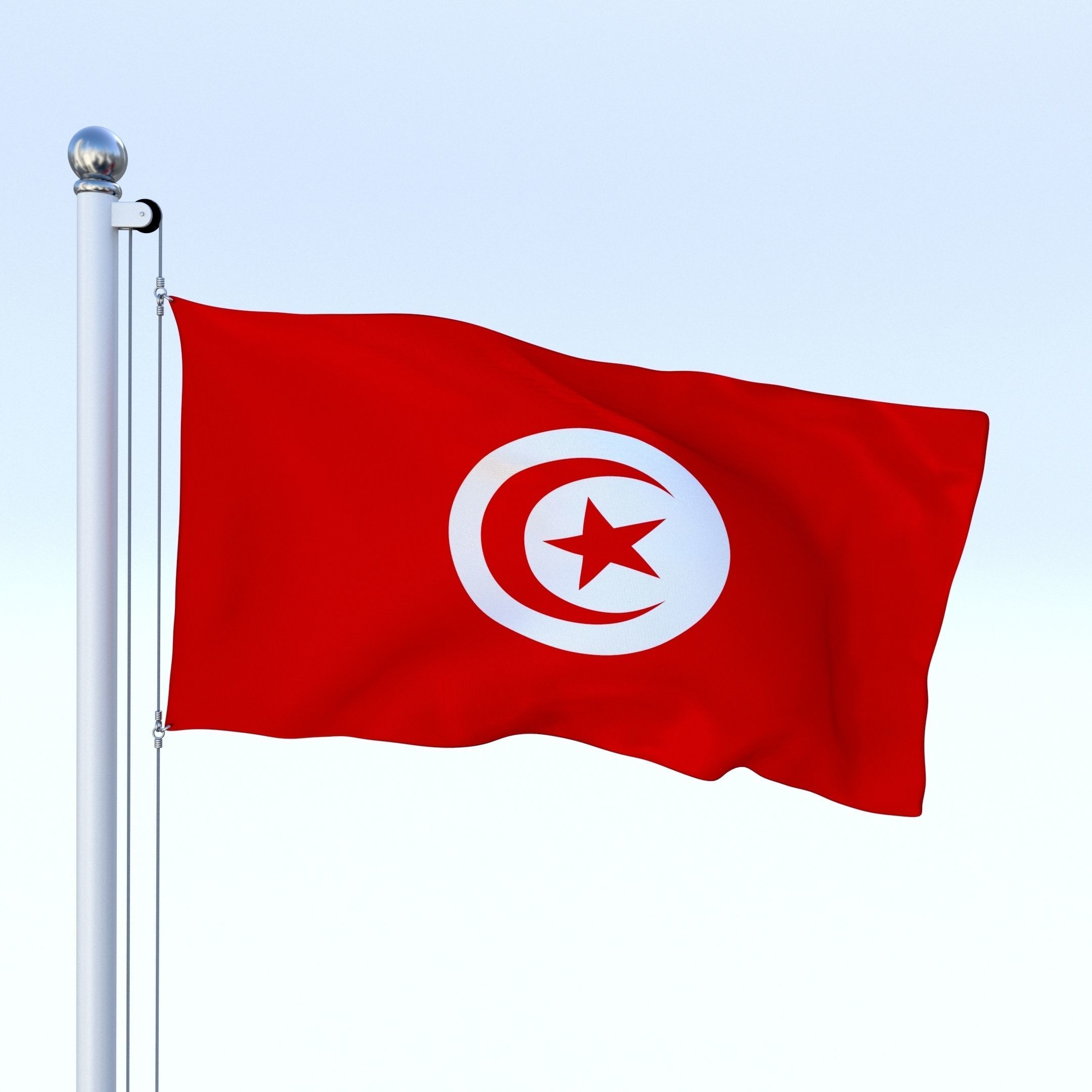 Animated Tunisia Flag Low-poly 3D model_23