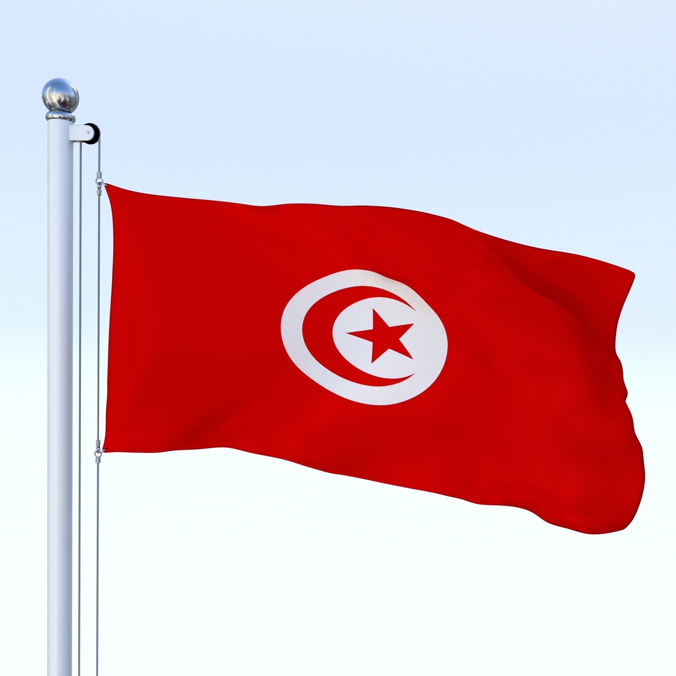 Animated Tunisia Flag Low-poly 3D model_26