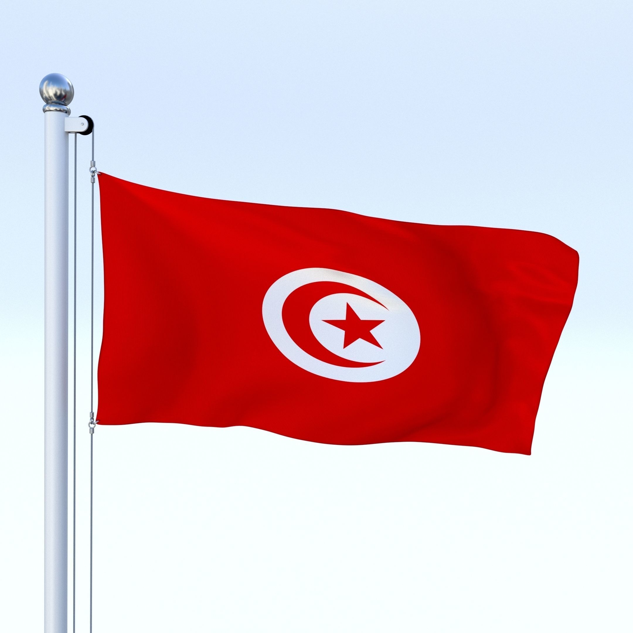Animated Tunisia Flag Low-poly 3D model_5