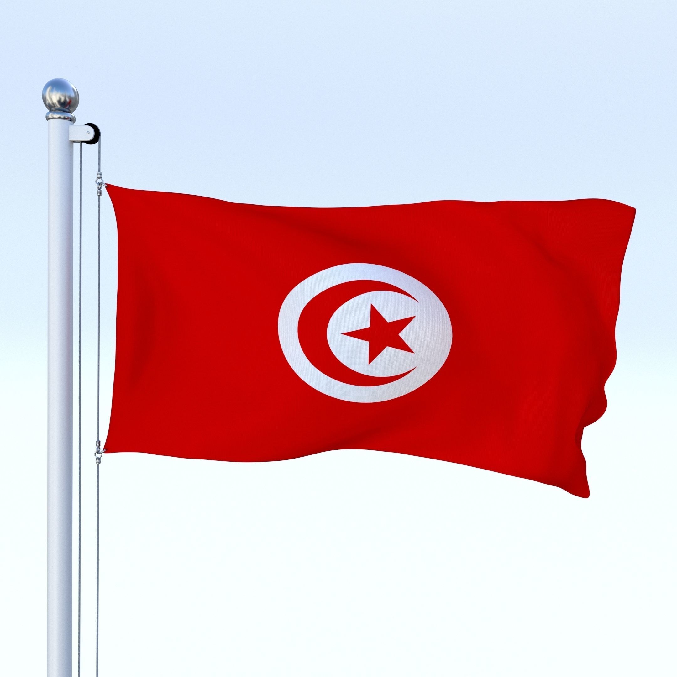 Animated Tunisia Flag Low-poly 3D model_15