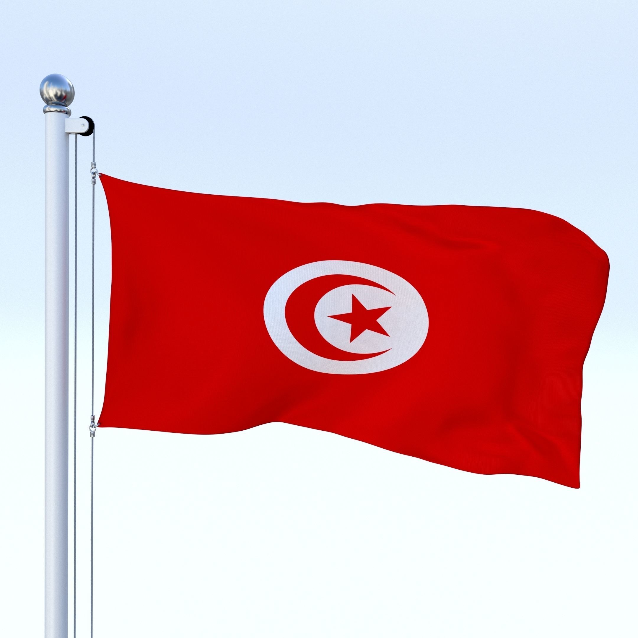 Animated Tunisia Flag Low-poly 3D model_2
