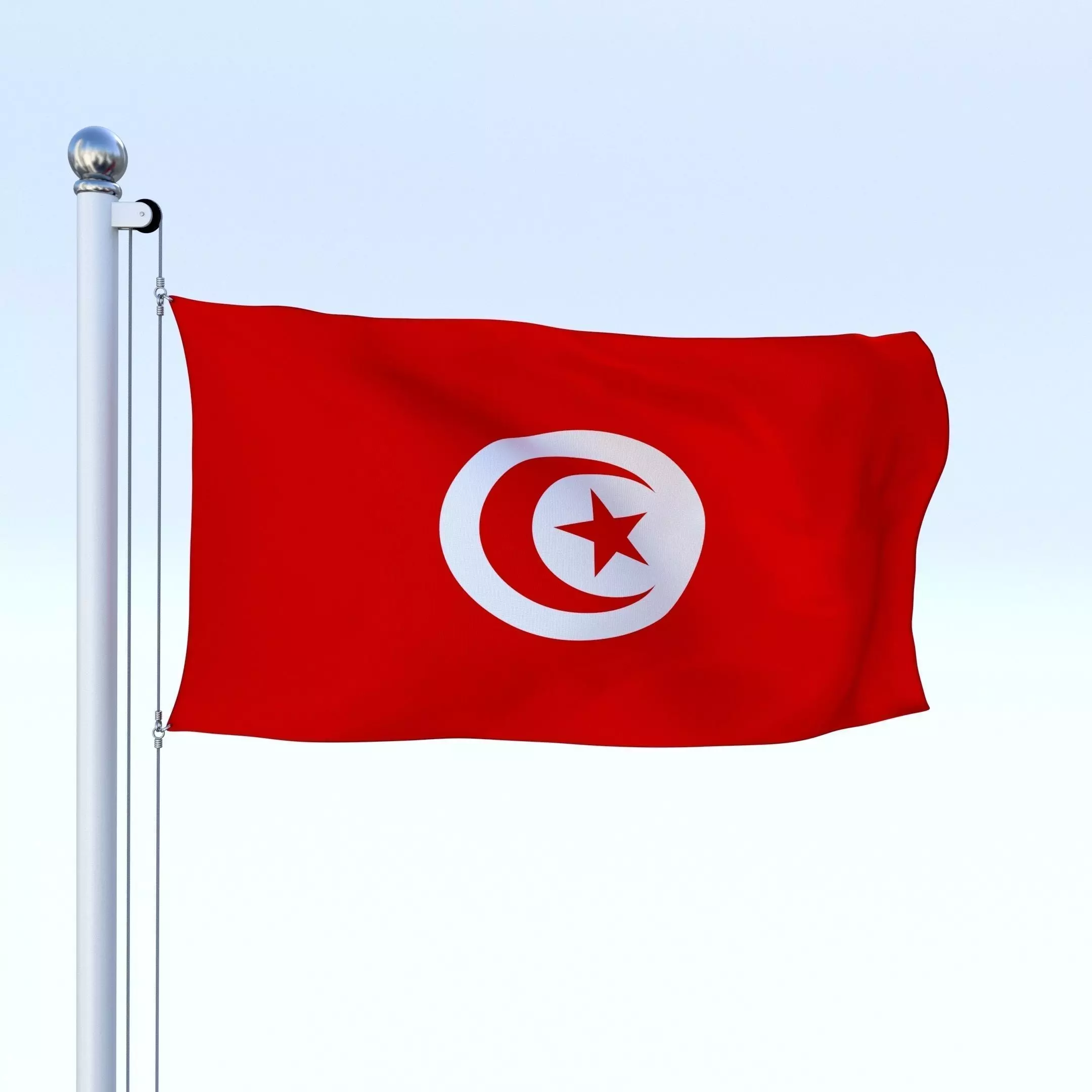 Animated Tunisia Flag Low-poly 3D model_0