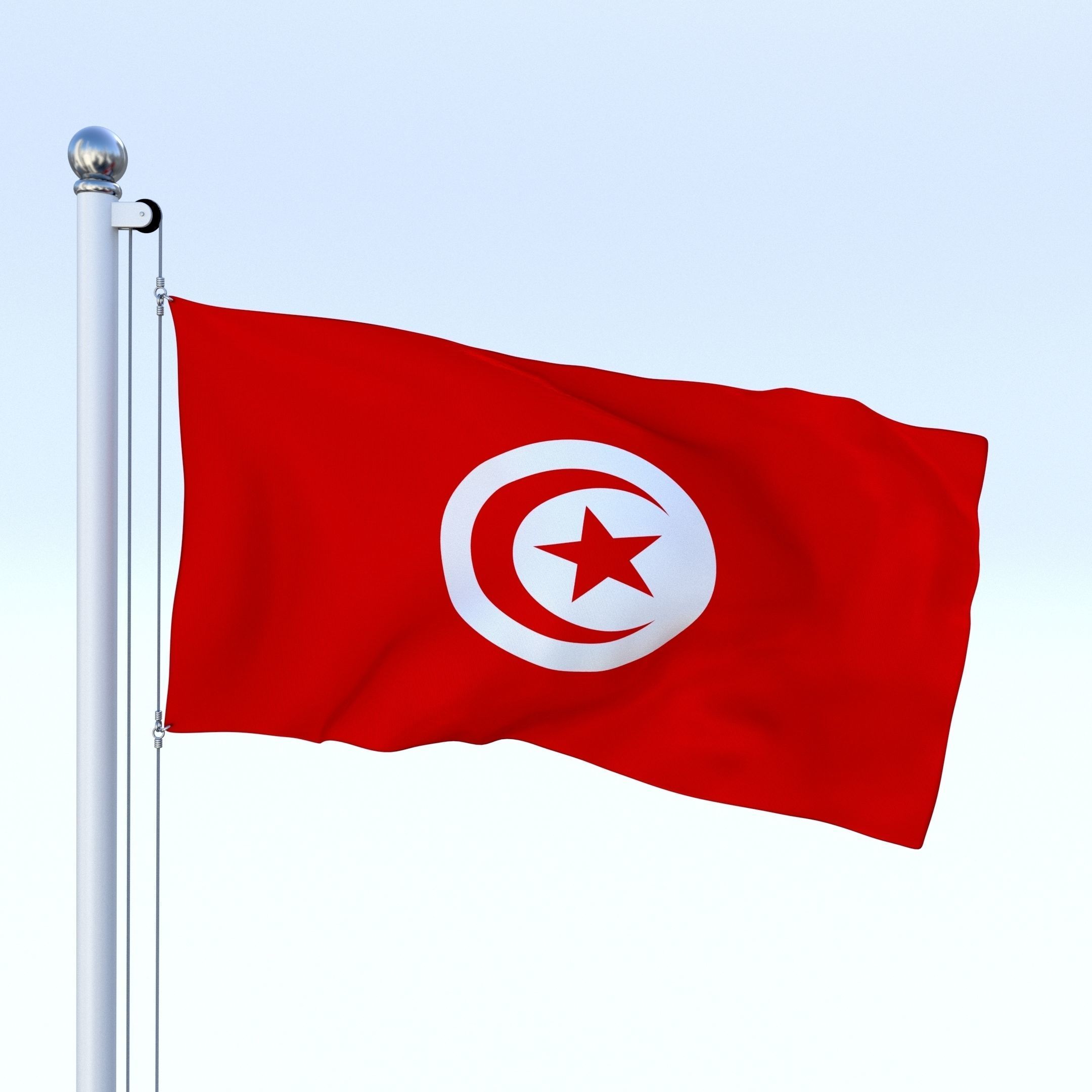 Animated Tunisia Flag Low-poly 3D model_3