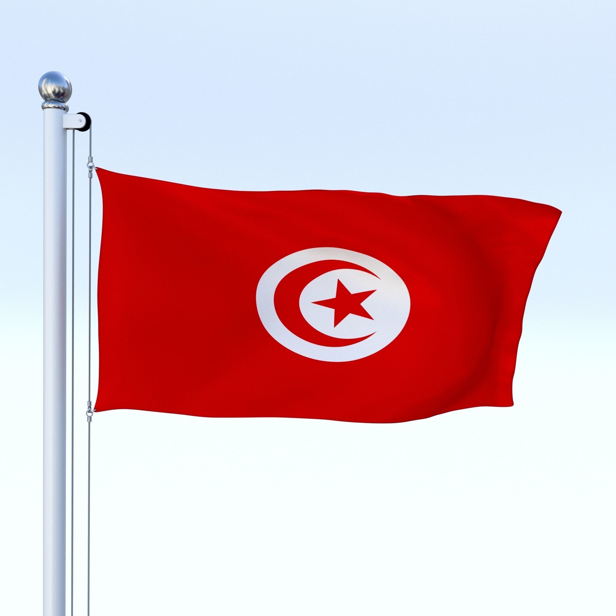 Animated Tunisia Flag Low-poly 3D model_12