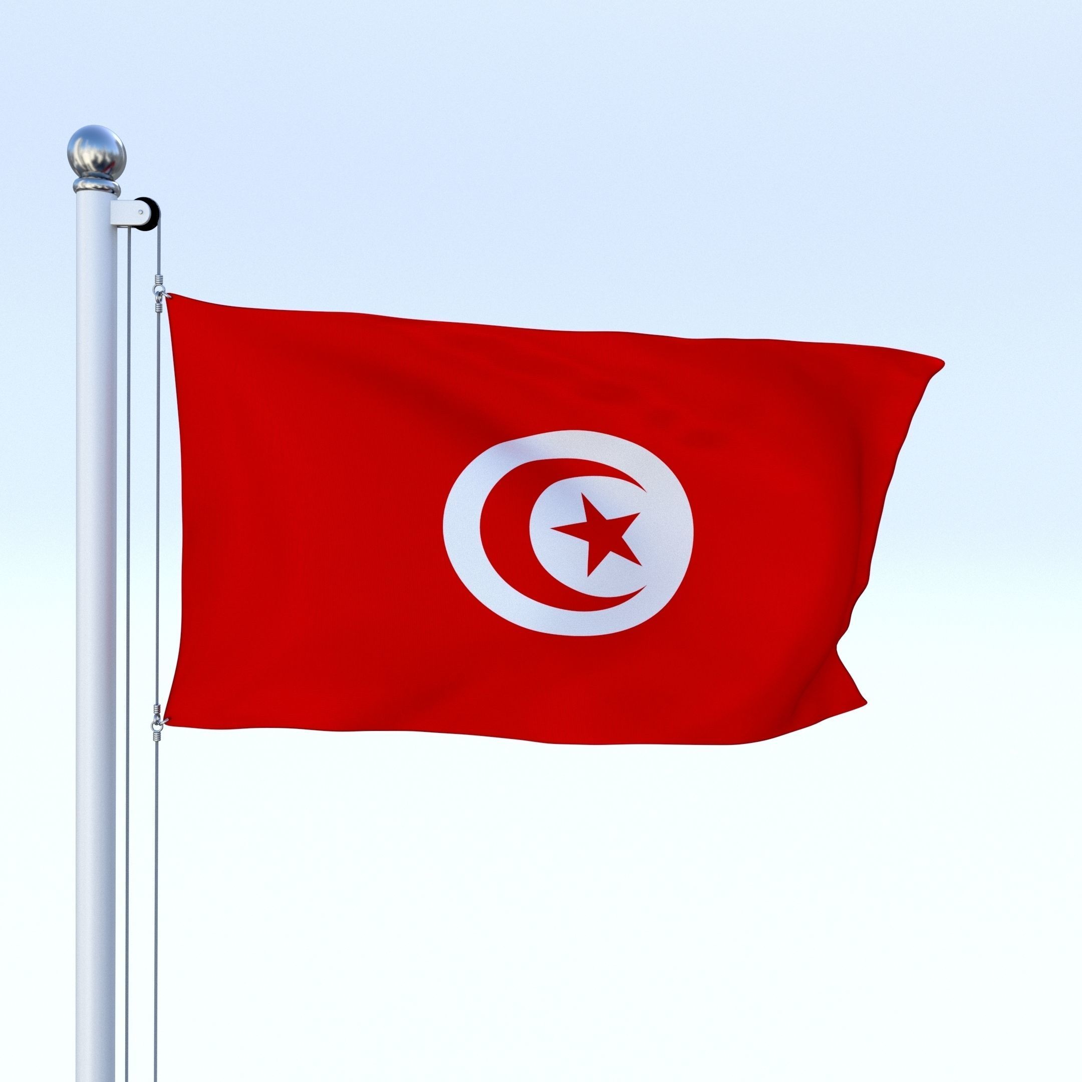 Animated Tunisia Flag Low-poly 3D model_1
