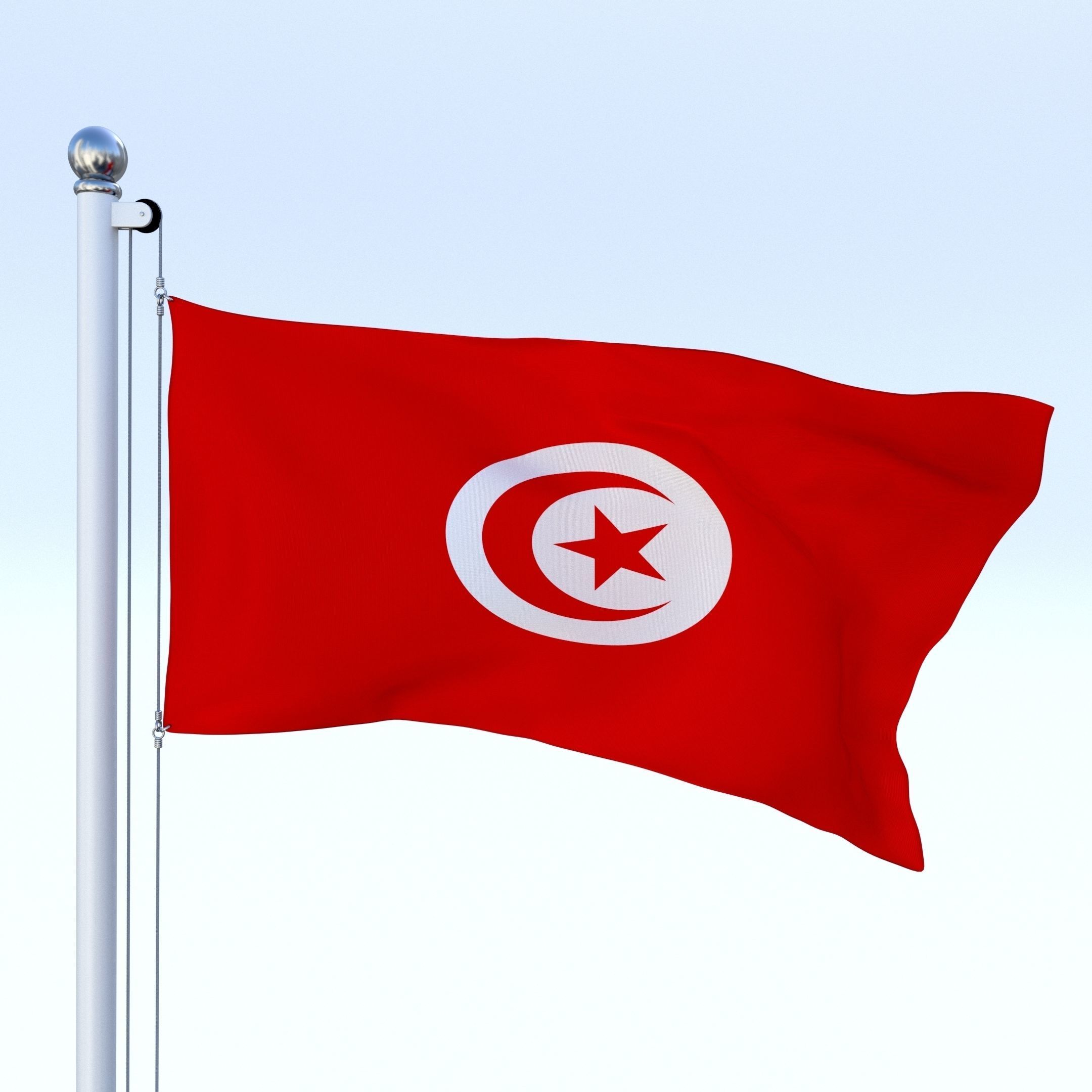 Animated Tunisia Flag Low-poly 3D model_10