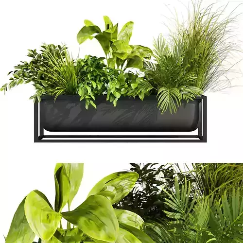 plant vol 736 - banana - palm - grass