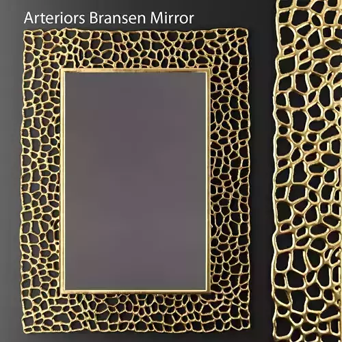 Arteriors Bransen Mirror 