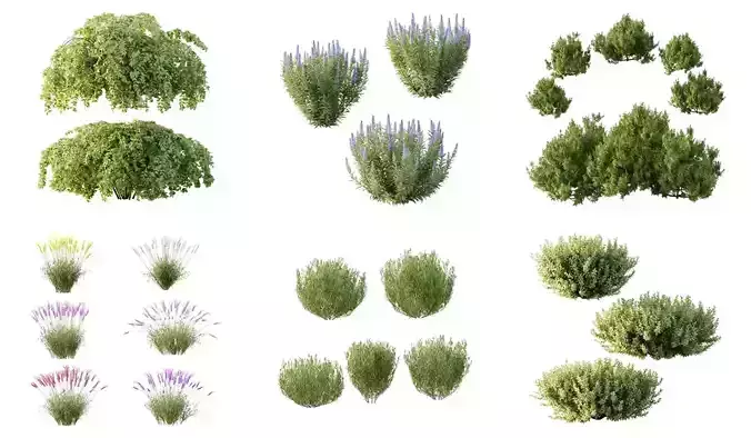 Excellent collection of Outdoor plants 25 Different Models 0039