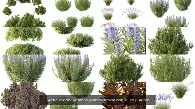 Excellent collection of Outdoor plants 25 Different Models 0039
