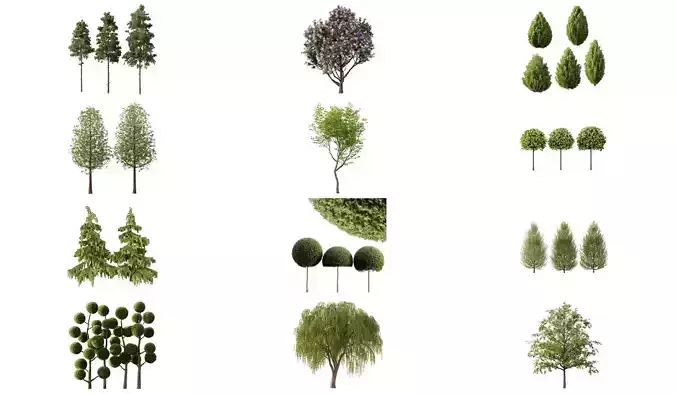 Excellent collection of Outdoor plants 29 Different Models 0040