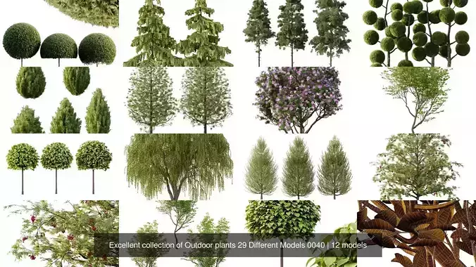 Excellent collection of Outdoor plants 29 Different Models 0040
