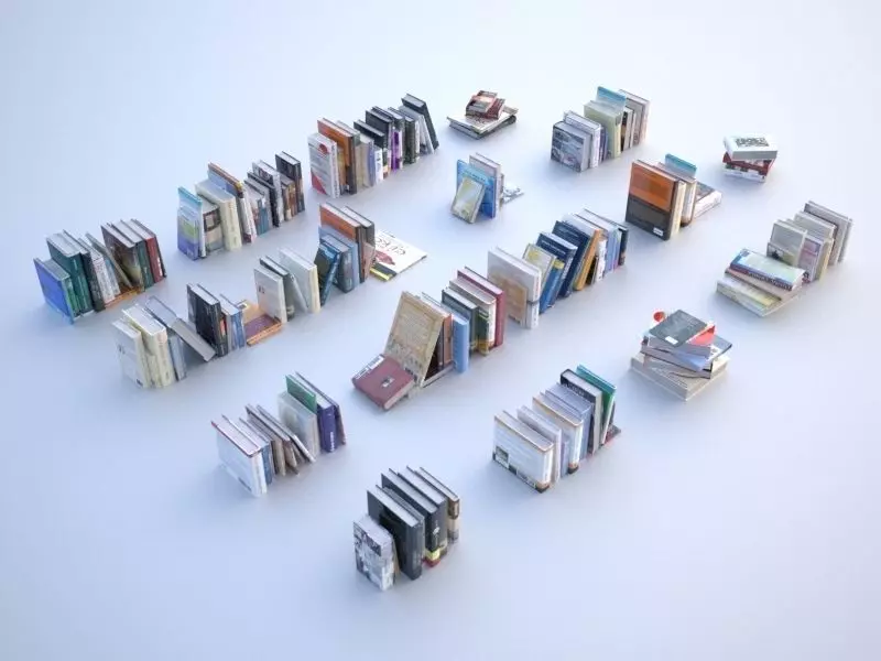 100 unique books 001 3D model_0