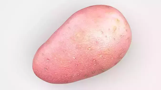 Red Potato 3D model 4