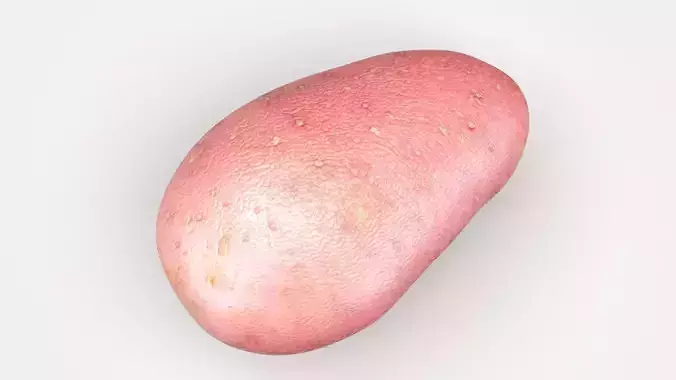 Red Potato 3D model 2