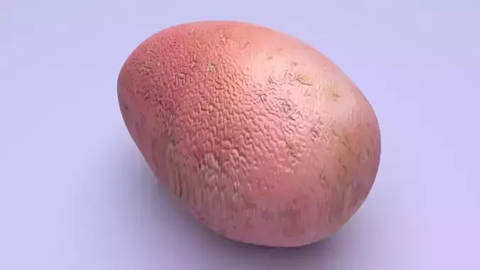 Red Potato 3D model 7