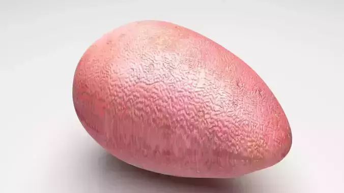 Red Potato 3D model 3