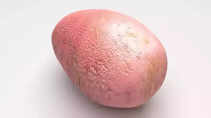Red Potato 3D model 5