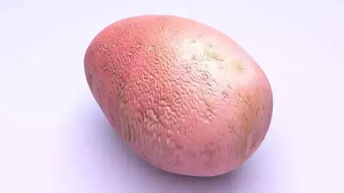 Red Potato 3D model 6