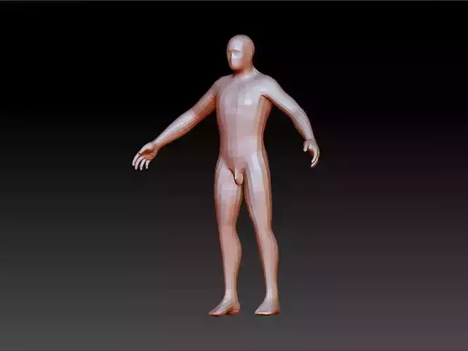 human male basic mesh