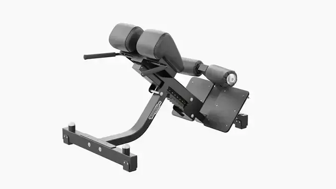 Technogym Lower Back Bench Pure