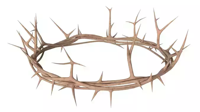 Wooden Crown of Thorns PBR 02