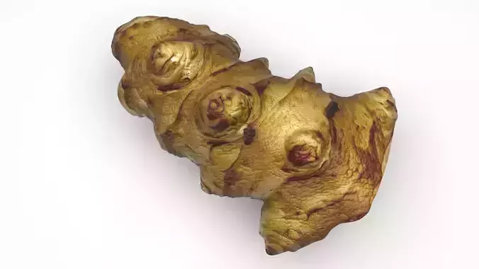 Jerusalem Artichoke 3D model 4
