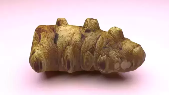 Jerusalem Artichoke 3D model 6
