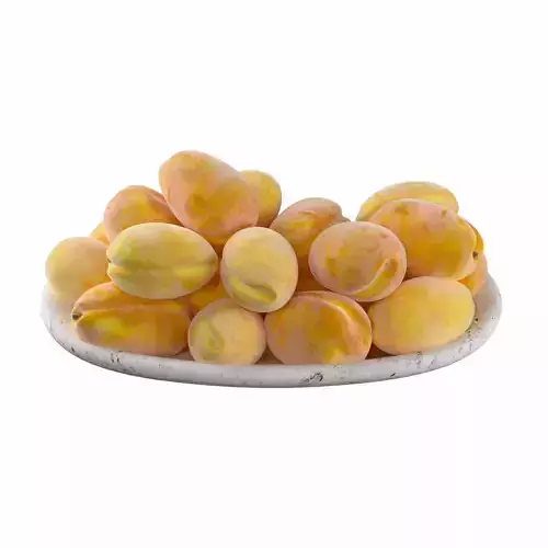 Apricot 3D model