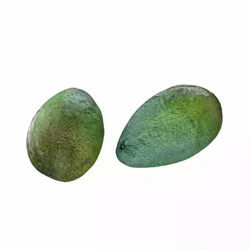 Avocado 01