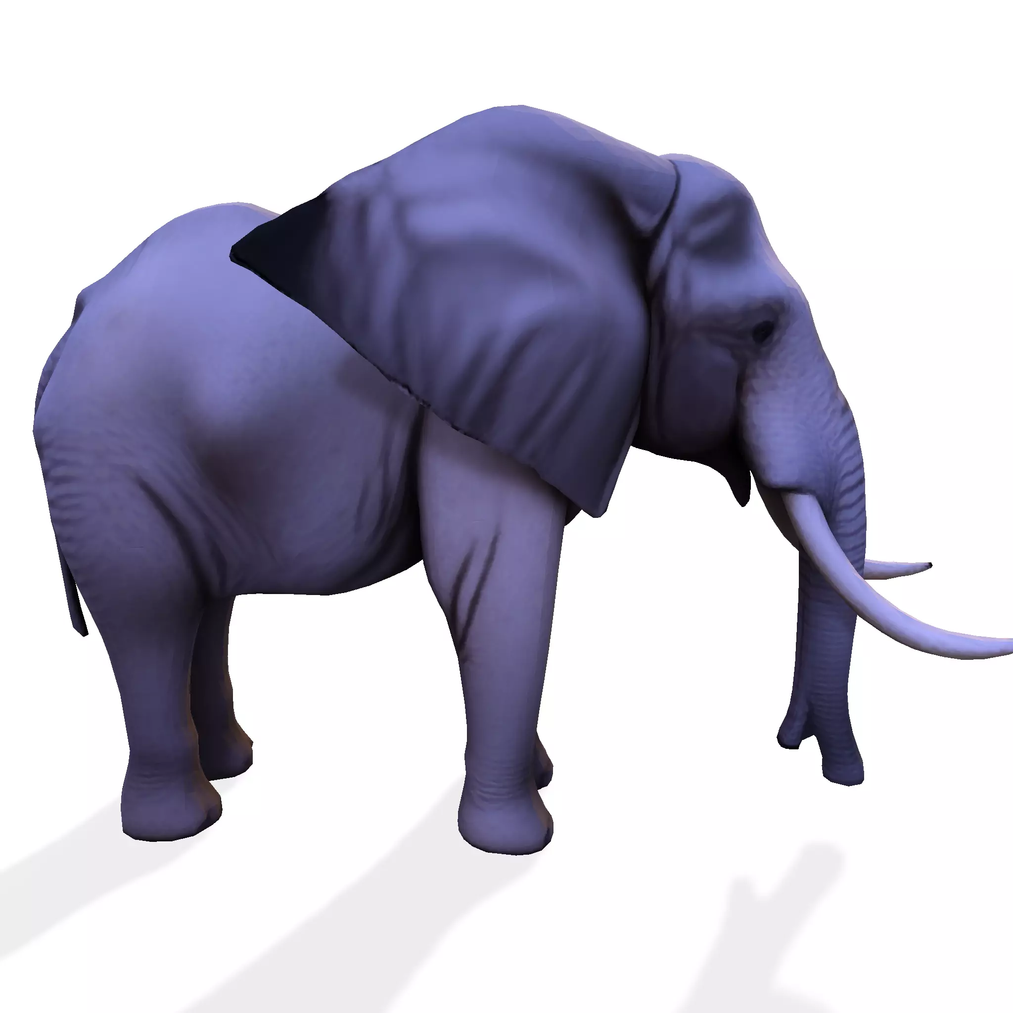 Low Poly Savannah Elephant 3D print model