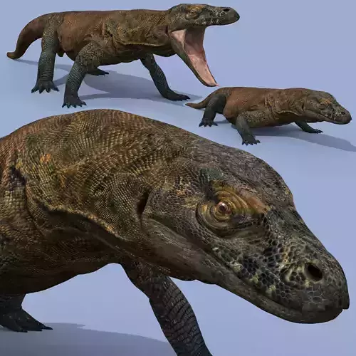 Ultimate Komodo Dragon - 8K 3D Animated Model