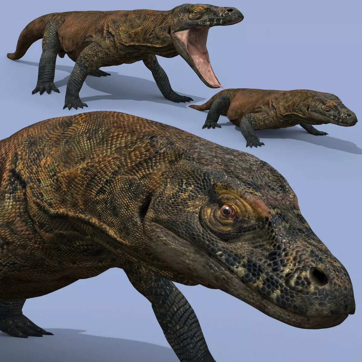 Ultimate Komodo Dragon - 8K 3D Animated Model 3D model