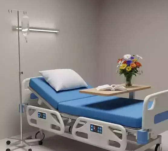 High-Tech Modern Hospital Bed Setup