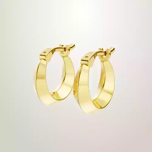 Hoops Elegant Earrings Classic Gold Hoops for Any Occasion 3