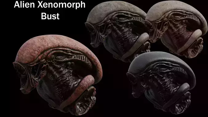 Alien Xenomorph Big Chap for 3D Printing 3D