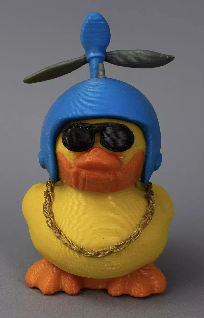 COOL DUCK 3D print model