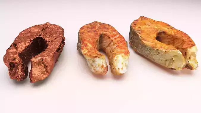 3D model Salmon and Trout steaks PBR and 3dcan Low-poly 3D model 4