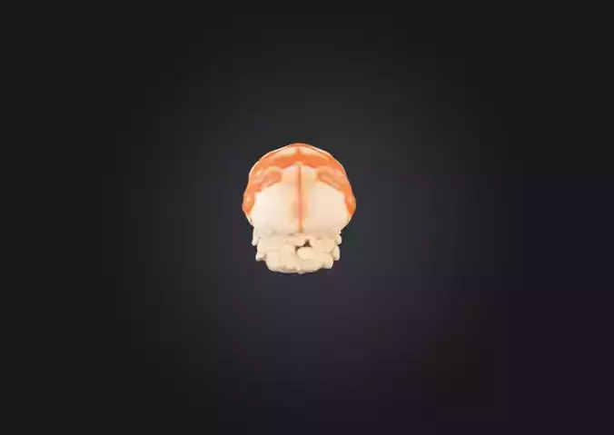 Ebi Nigiri Delight Low-poly 3D model 4