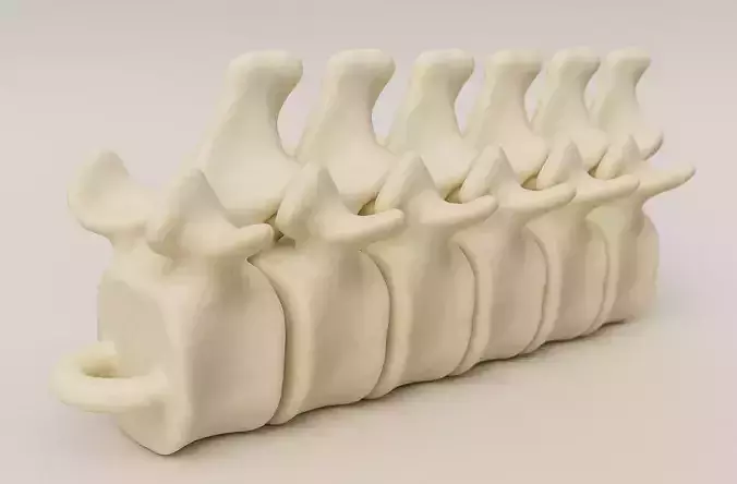 ARTICULATED BACKBONE KEYCHAIN