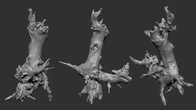 Withered tree root wood trunk zbrush engraving highpoly