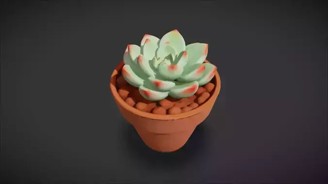 Succulent Plant 05